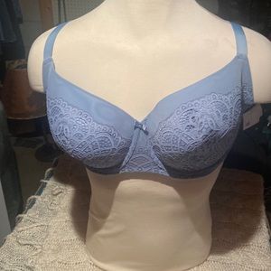 #484 Auden bra 44G
